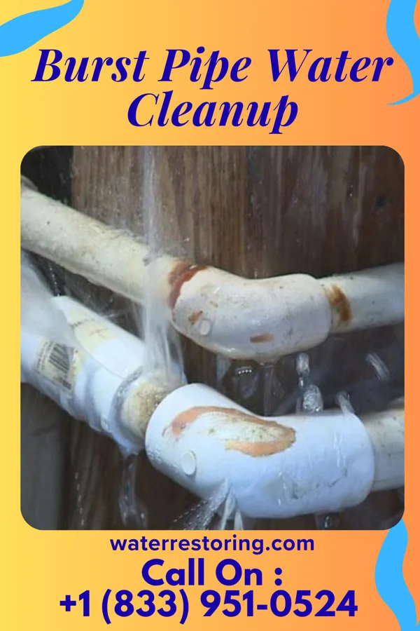 Burst Pipe Water Cleanup in Highland, WI