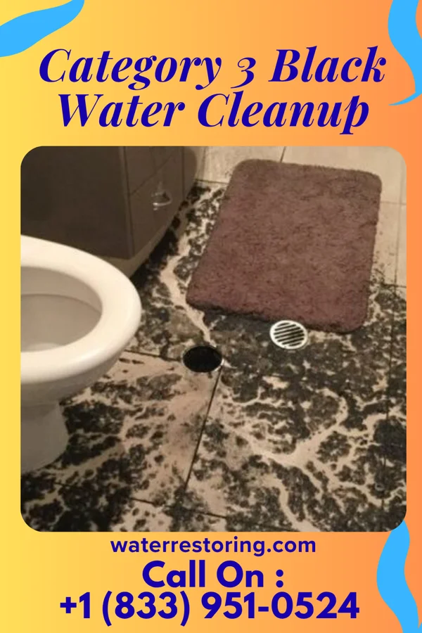Category 3 Black Water Cleanup in Highland, WI